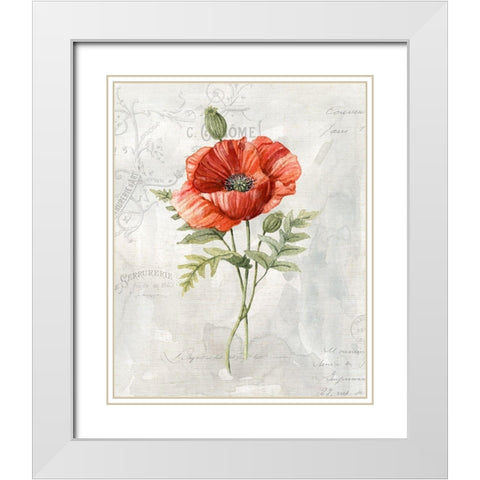 Linen Poppy White Modern Wood Framed Art Print with Double Matting by Robinson, Carol