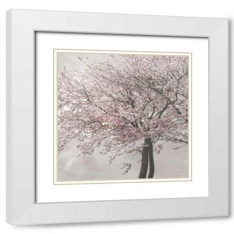 Blush in the Wind II White Modern Wood Framed Art Print with Double Matting by Weisz, Irene