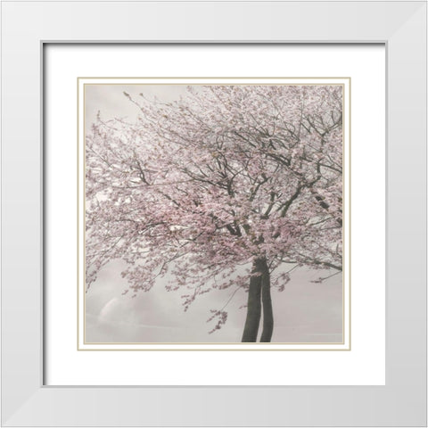 Blush in the Wind II White Modern Wood Framed Art Print with Double Matting by Weisz, Irene