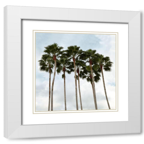 Surfs Up White Modern Wood Framed Art Print with Double Matting by Carpentieri, Natalie