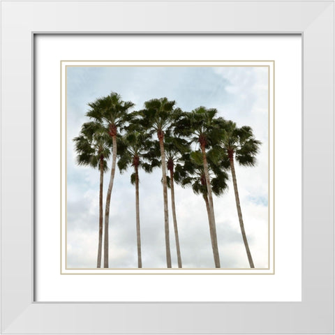 Surfs Up White Modern Wood Framed Art Print with Double Matting by Carpentieri, Natalie