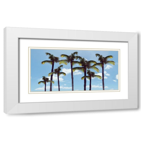 Paradise Palms White Modern Wood Framed Art Print with Double Matting by Carpentieri, Natalie