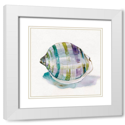 Malecon Shell III White Modern Wood Framed Art Print with Double Matting by Robinson, Carol