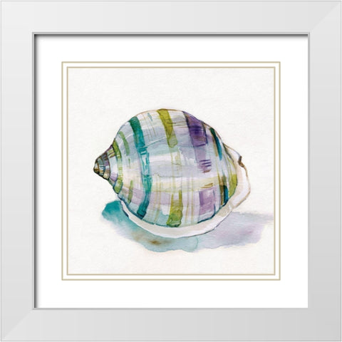 Malecon Shell III White Modern Wood Framed Art Print with Double Matting by Robinson, Carol