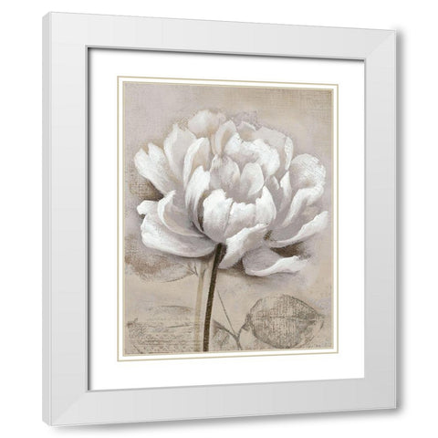 Soft White I White Modern Wood Framed Art Print with Double Matting by Nan