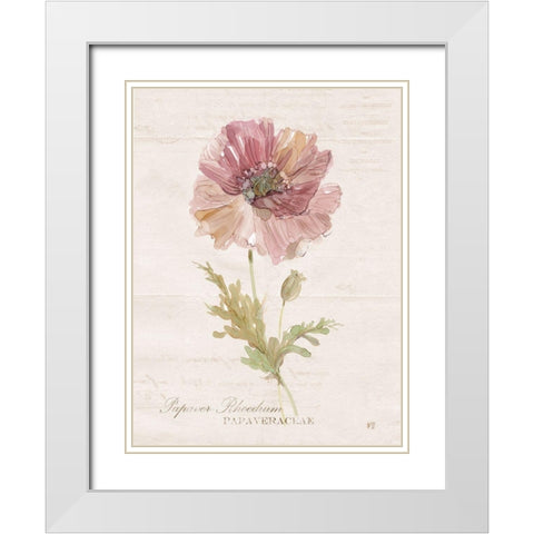 Soft Poppy White Modern Wood Framed Art Print with Double Matting by Robinson, Carol