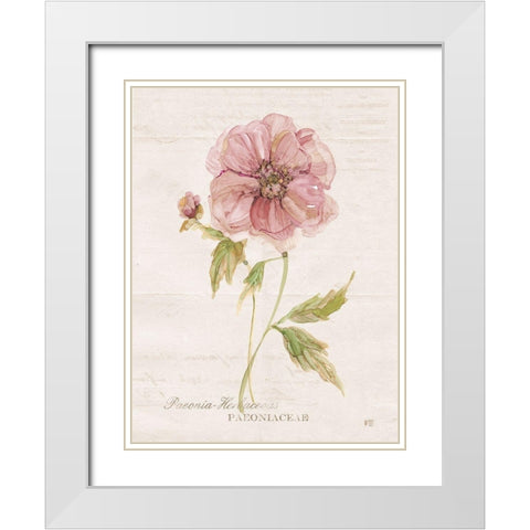 Soft Peony White Modern Wood Framed Art Print with Double Matting by Robinson, Carol