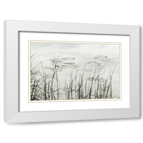 Silver Lake Lilies White Modern Wood Framed Art Print with Double Matting by Monkman, Jerry and Marcy