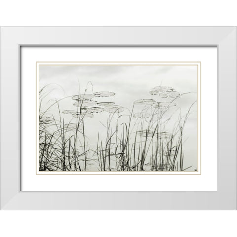 Silver Lake Lilies White Modern Wood Framed Art Print with Double Matting by Monkman, Jerry and Marcy