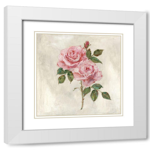 Botanical Beauties II White Modern Wood Framed Art Print with Double Matting by Swatland, Sally