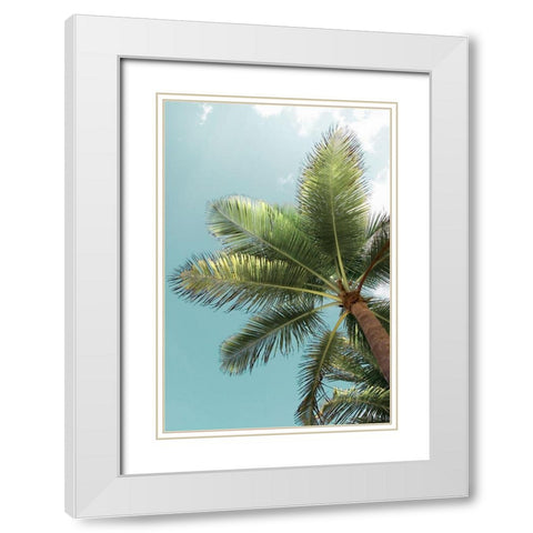 Palm Verde White Modern Wood Framed Art Print with Double Matting by Monkman, Jerry and Marcy