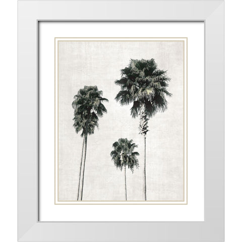 Sketchbook Palm White Modern Wood Framed Art Print with Double Matting by Carpentieri, Natalie