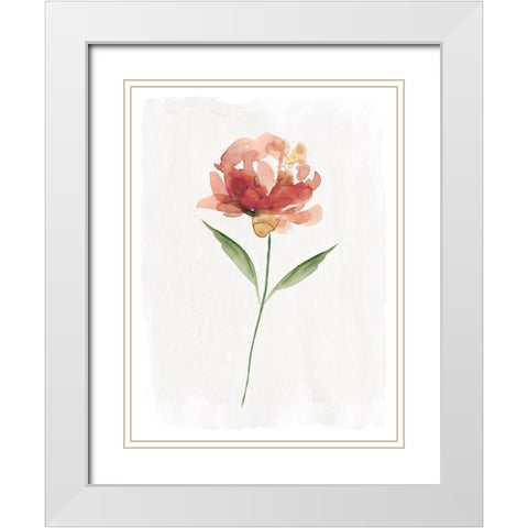 Happy Bloom II White Modern Wood Framed Art Print with Double Matting by Robinson, Carol