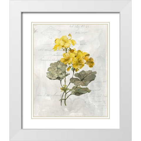 Canary Linen Geranium White Modern Wood Framed Art Print with Double Matting by Robinson, Carol
