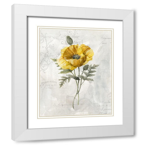Canaray Linen Poppy White Modern Wood Framed Art Print with Double Matting by Robinson, Carol