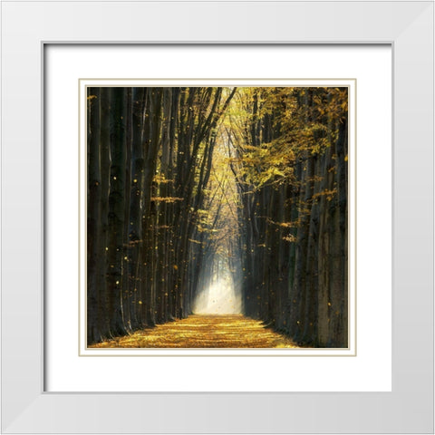 Fall Kicks In White Modern Wood Framed Art Print with Double Matting by Van de Goor, Lars