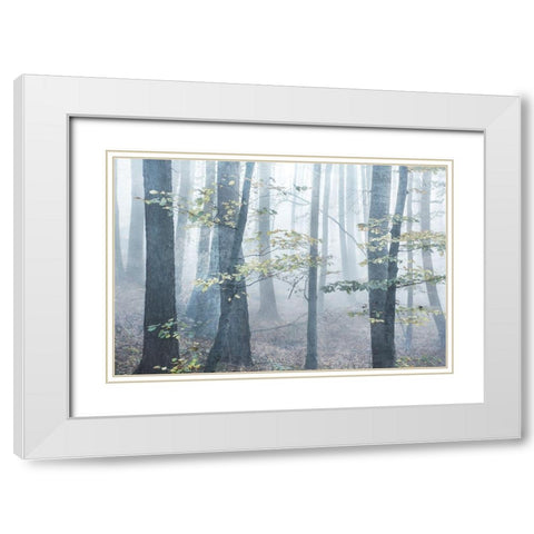 Chalky Misty White Modern Wood Framed Art Print with Double Matting by Weisz, Irene