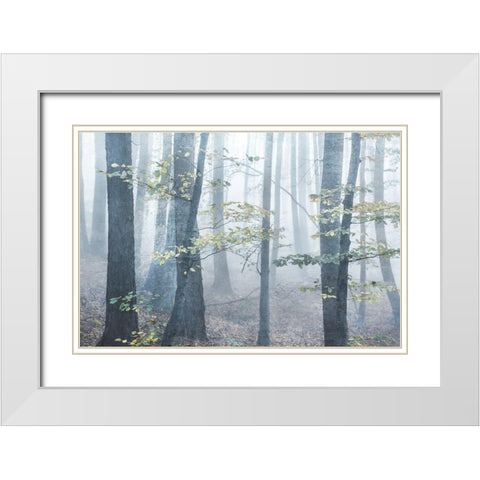 Chalky Misty White Modern Wood Framed Art Print with Double Matting by Weisz, Irene