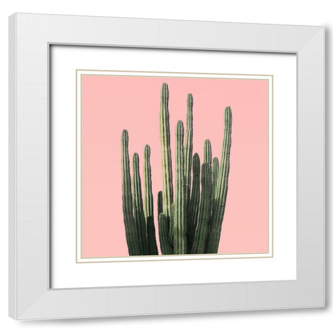 Island Succulent White Modern Wood Framed Art Print with Double Matting by Carpentieri, Natalie