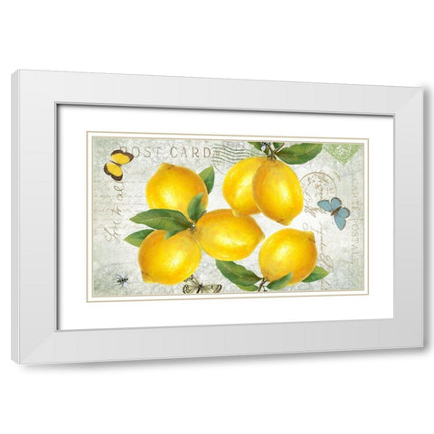 Postcard Lemons White Modern Wood Framed Art Print with Double Matting by Donovan, Kelly