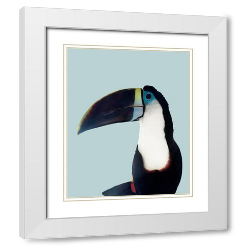 Aruba Wildlife White Modern Wood Framed Art Print with Double Matting by Carpentieri, Natalie