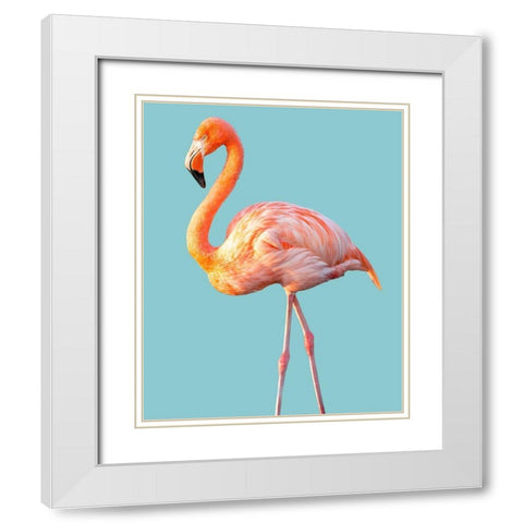 Flamingo White Modern Wood Framed Art Print with Double Matting by Jannsen, Brian