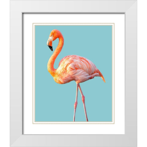 Flamingo White Modern Wood Framed Art Print with Double Matting by Jannsen, Brian