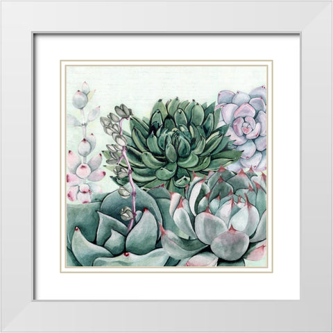 Succulent Garden II White Modern Wood Framed Art Print with Double Matting by Jill, Susan