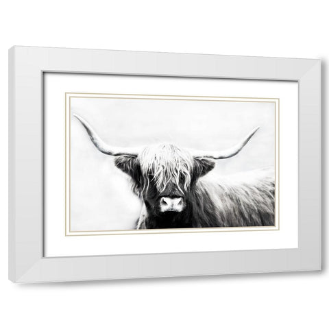 Highland Longhorn White Modern Wood Framed Art Print with Double Matting by Edmonds, Cora
