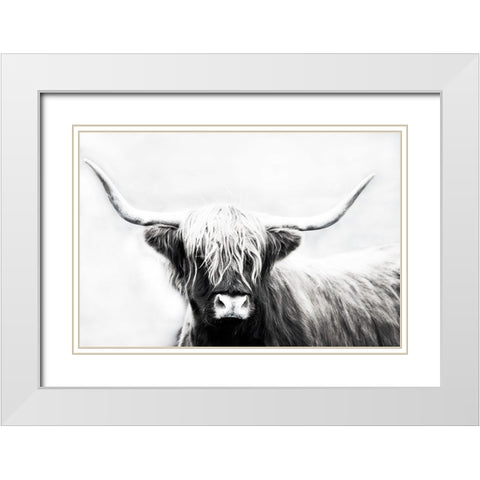 Highland Longhorn White Modern Wood Framed Art Print with Double Matting by Edmonds, Cora