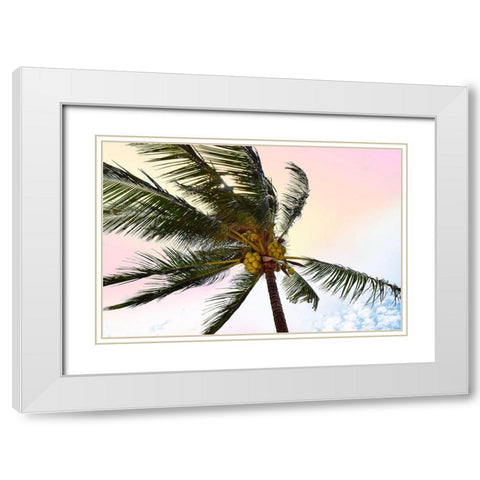 Palm Breeze White Modern Wood Framed Art Print with Double Matting by Carpentieri, Natalie