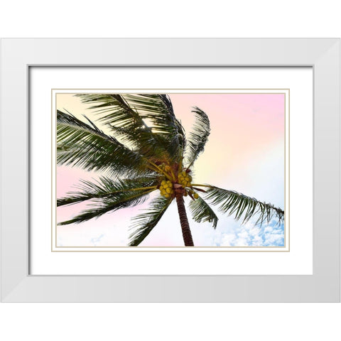 Palm Breeze White Modern Wood Framed Art Print with Double Matting by Carpentieri, Natalie