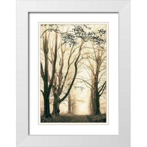 Silence White Modern Wood Framed Art Print with Double Matting by Van de Goor, Lars