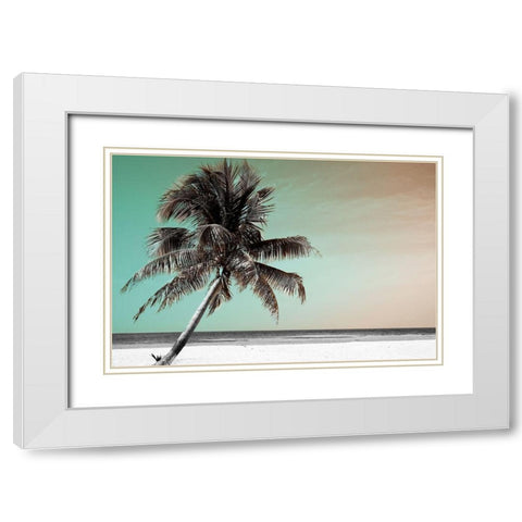 Barrier Reef White Modern Wood Framed Art Print with Double Matting by Delimont, Danita
