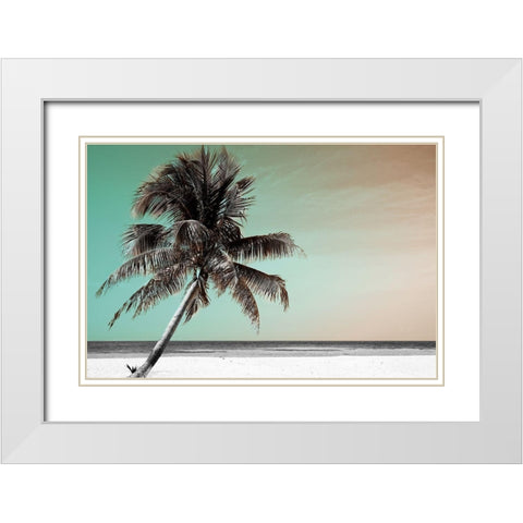 Barrier Reef White Modern Wood Framed Art Print with Double Matting by Delimont, Danita