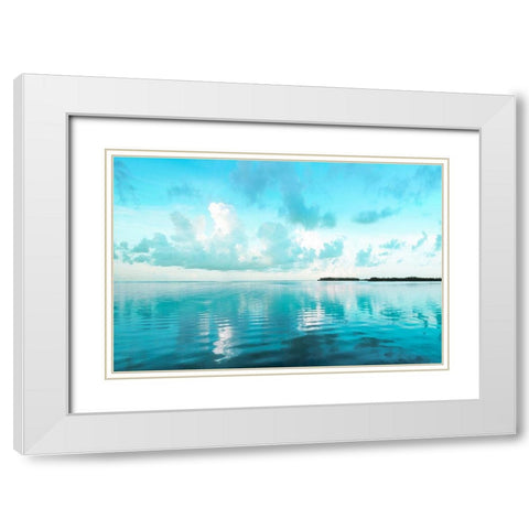 Biscayne Bay White Modern Wood Framed Art Print with Double Matting by Delimont, Danita