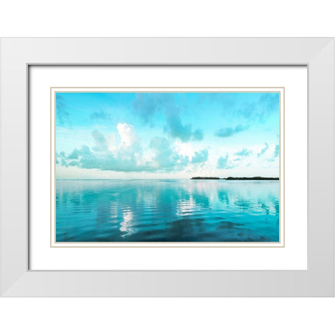 Biscayne Bay White Modern Wood Framed Art Print with Double Matting by Delimont, Danita