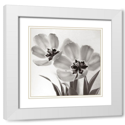 Tulip Dream White Modern Wood Framed Art Print with Double Matting by Donovan, Kelly