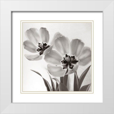 Tulip Dream White Modern Wood Framed Art Print with Double Matting by Donovan, Kelly