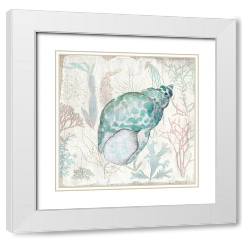 Coral and Shell IV White Modern Wood Framed Art Print with Double Matting by Tava Studios