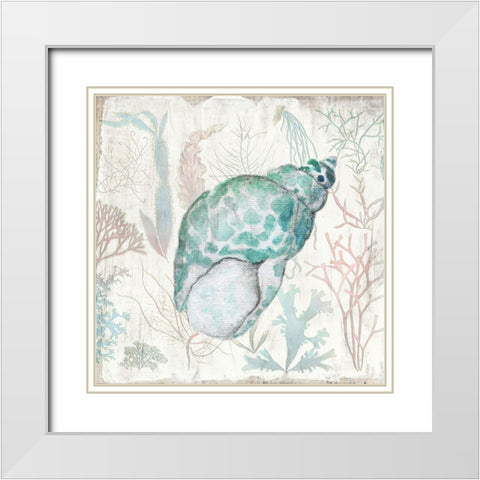 Coral and Shell IV White Modern Wood Framed Art Print with Double Matting by Tava Studios