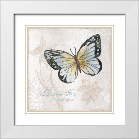 Postcard Butterfly IV White Modern Wood Framed Art Print with Double Matting by Tava Studios
