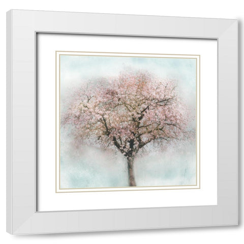 Awakening II White Modern Wood Framed Art Print with Double Matting by Weisz, Irene