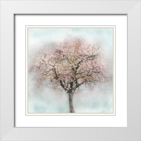 Awakening II White Modern Wood Framed Art Print with Double Matting by Weisz, Irene