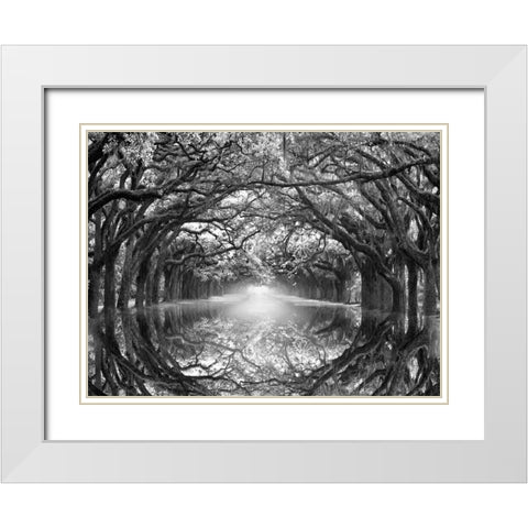 Oak Alley Reflection White Modern Wood Framed Art Print with Double Matting by Wells, Joanne