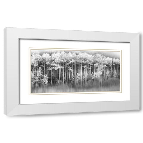Dreamy Aspen White Modern Wood Framed Art Print with Double Matting by Miller, Anna