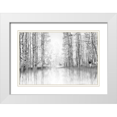 Aspen Reflection White Modern Wood Framed Art Print with Double Matting by Gulin, Darrell