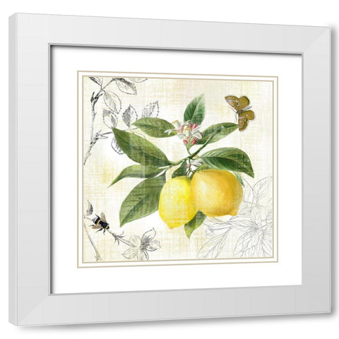 Linen Lemons I White Modern Wood Framed Art Print with Double Matting by Nan