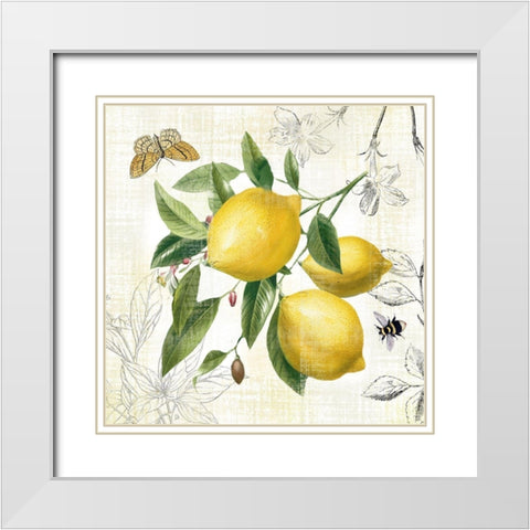 Linen Lemons II White Modern Wood Framed Art Print with Double Matting by Nan