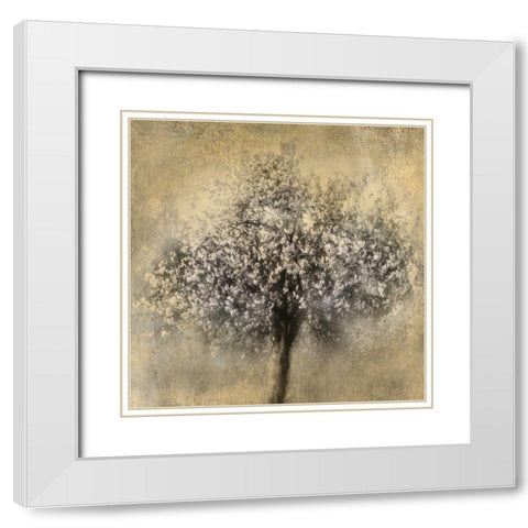 Gold Blossoms White Modern Wood Framed Art Print with Double Matting by Weisz, Irene